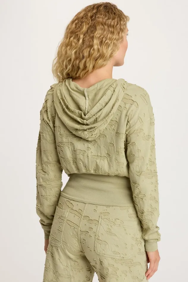 Clothing Jackets XCVI Irra Jacket Limescent Pigment