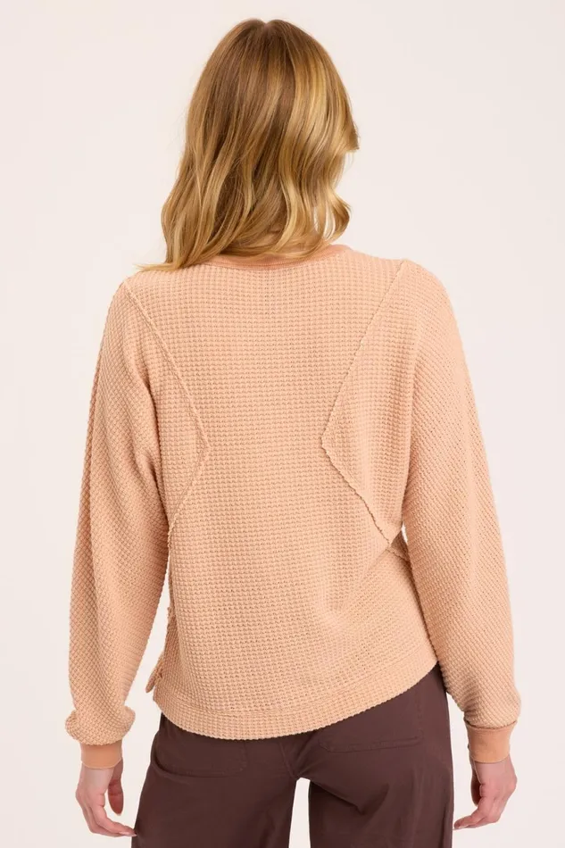 Clothing Sweatshirts XCVI Delsi Pullover Firefly Pigment