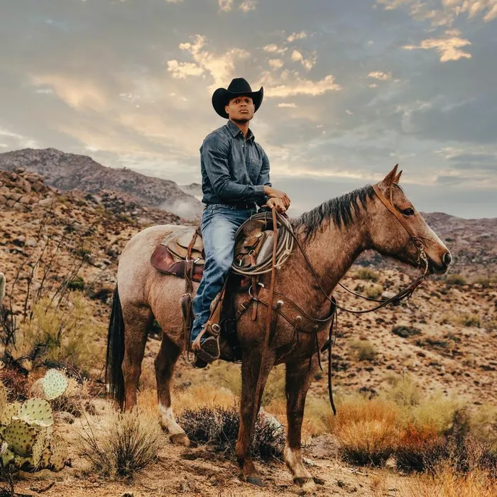 Dirty Denim Western Shirt Blue Men Stetson Modern Cut