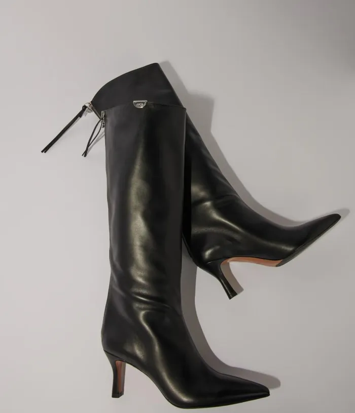 Maje Pointedtoe Leather Boots Women Booties and Boots