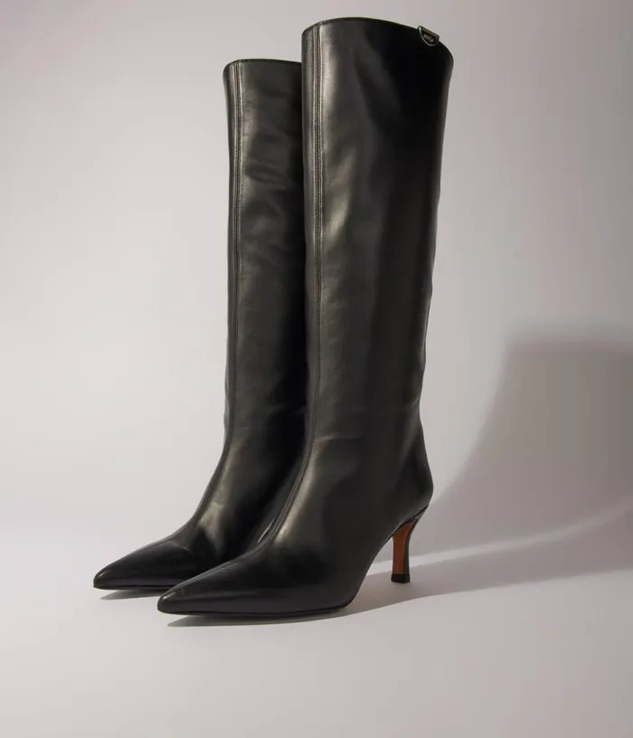Maje Pointedtoe Leather Boots Women Booties and Boots