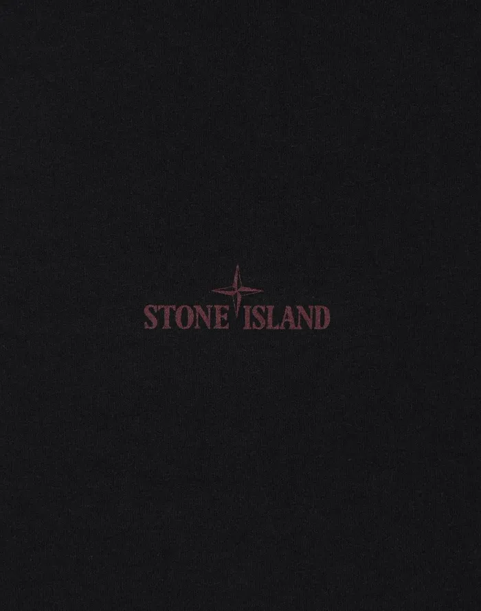 Mens 2Ns81 Paint Stroke 2 Short Sleeve TShirt In Black Stone Island TShirts
