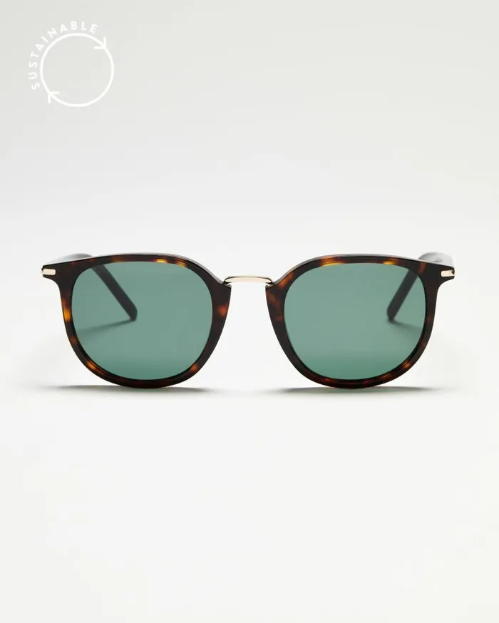 PAIGE Shop Sunglasses Women Adam Sunglasses 8211 Tortoise