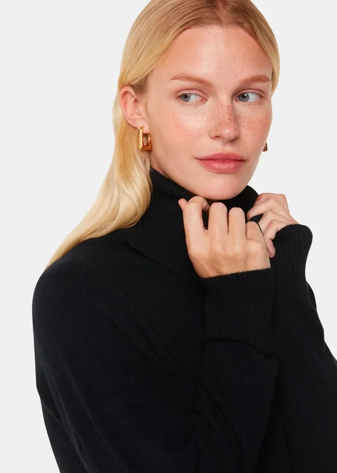 Women Knitwear and Cashmere Whistles Black Cashmere Roll Neck